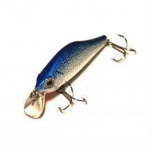 m-shad-70r-ds21-1