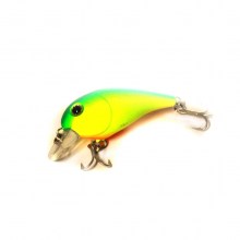 shorty-121